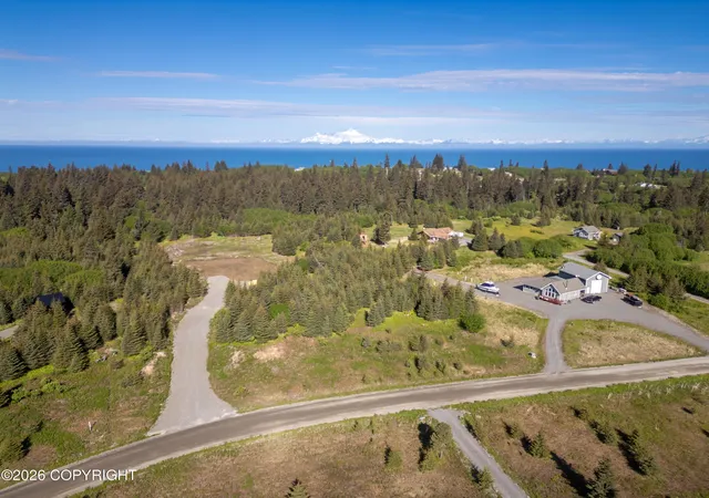 Homes for sale in Anchor Point, AK | 31735 Whiskey Gulch St, Anchor Point, AK 99556 | MLS# 26-8110