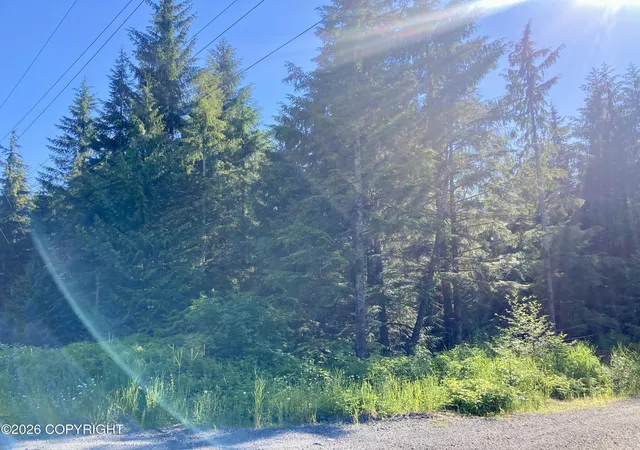 10th image of L1 Coffman Hwy, Coffman Cove, AK 99918 | MLS# 26-7532