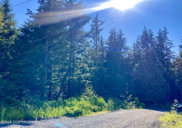 2nd image of L1 Coffman Hwy, Coffman Cove, AK 99918 | MLS# 26-7532