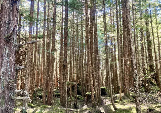 5th image of L1 Coffman Hwy, Coffman Cove, AK 99918 | MLS# 26-7532
