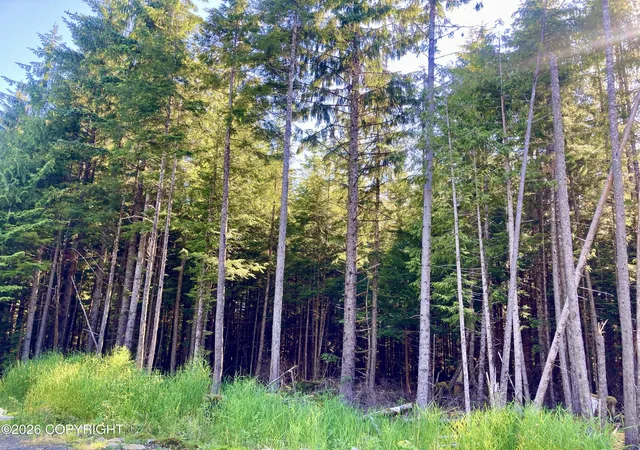 1st image of L2 Coffman Hwy, Coffman Cove, AK 99918 | MLS# 26-7531