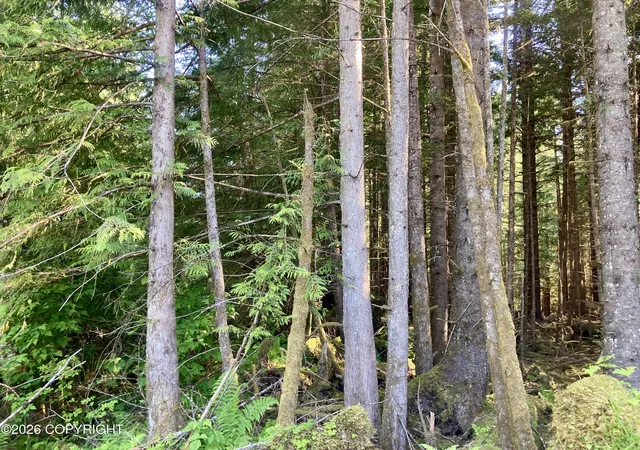 5th image of L2 Coffman Hwy, Coffman Cove, AK 99918 | MLS# 26-7531