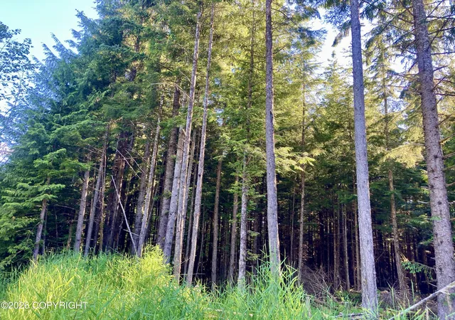 8th image of L2 Coffman Hwy, Coffman Cove, AK 99918 | MLS# 26-7531