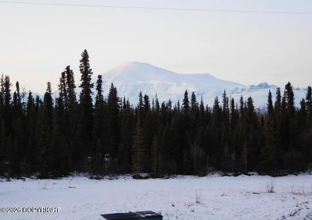40th image of 000 Four Mile Rd, Slana, AK 99586 | MLS# 26-7537