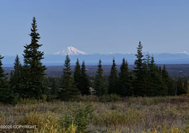 Homes for sale in Ninilchik, AK | 49413 Oil Well Rd, Ninilchik, AK 99639 | MLS# 26-7545
