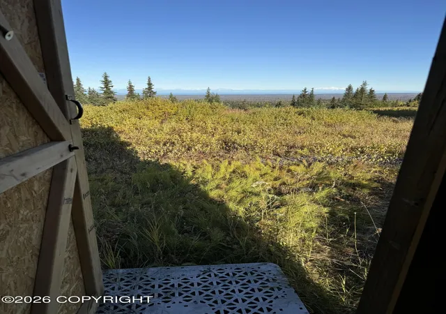 Homes for sale in Ninilchik, AK | 49413 Oil Well Rd, Ninilchik, AK 99639 | MLS# 26-7545