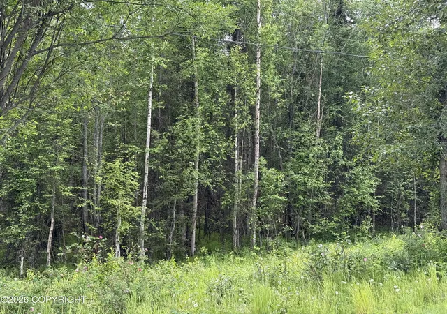 Photo 3 of Sale Pending at 22408 W Susitna Pkwy, Wasilla, AK 99623 | MLS# 26-7553 | Listing updated on 2026-09-29