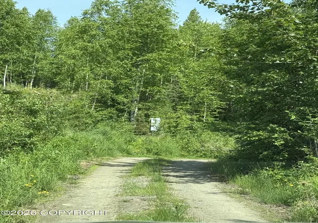 10th image of 14045 W Aero Ln, Big Lake, AK 99652 | MLS# 26-7596
