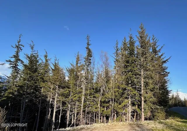 Homes for sale in Haines, AK | Lot8 Blk8 Skyline Rd, Haines, AK 99827 | MLS# 26-7573
