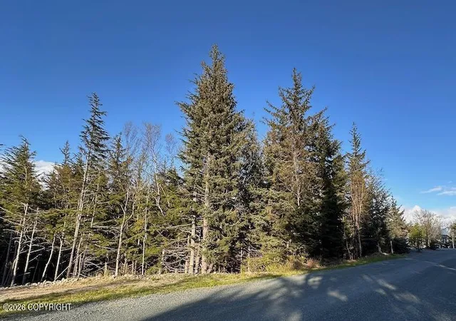 Homes for sale in Haines, AK | Lot8 Blk8 Skyline Rd, Haines, AK 99827 | MLS# 26-7573