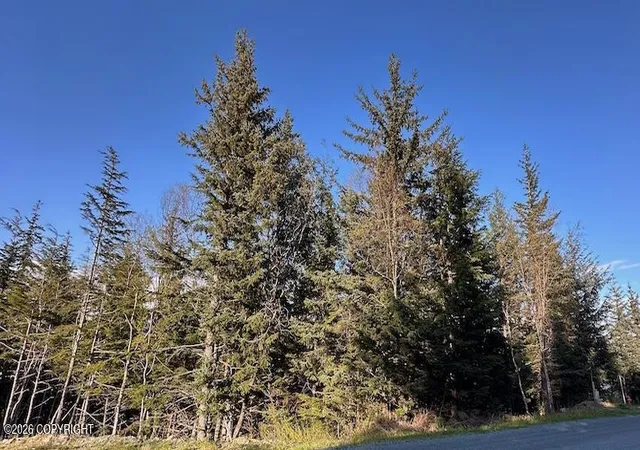 Homes for sale in Haines, AK | Lot8 Blk8 Skyline Rd, Haines, AK 99827 | MLS# 26-7573