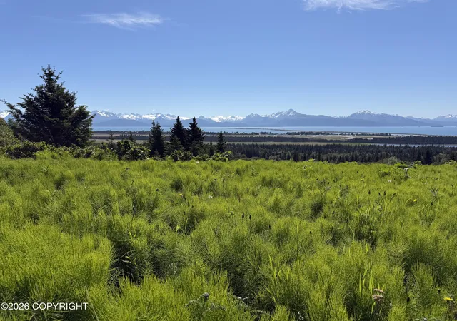 Homes for sale in Homer, AK | 4690 Craftsman Rd, Homer, AK 99603 | MLS# 26-7716