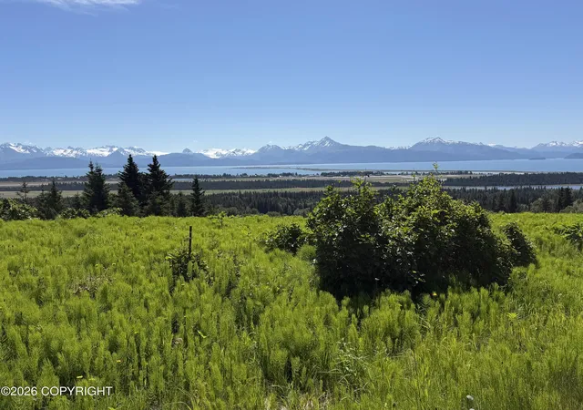 Homes for sale in Homer, AK | 4690 Craftsman Rd, Homer, AK 99603 | MLS# 26-7716