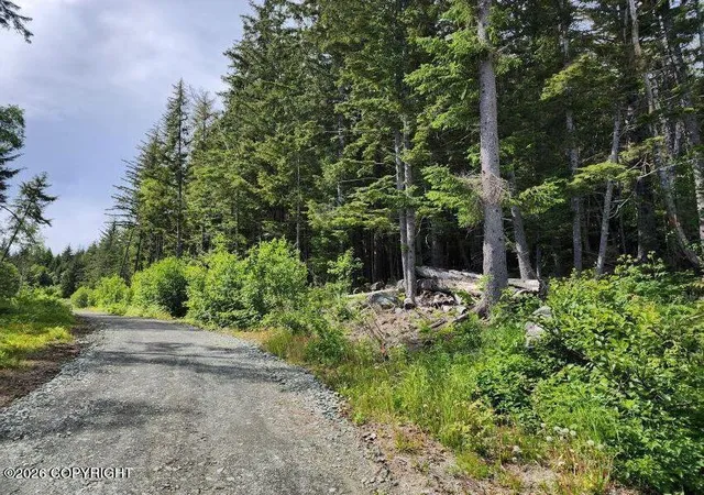 Homes for sale in Haines, AK | Lot 5 Barnett St Extension, Haines, AK 99827 | MLS# 26-7602