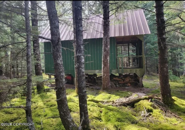 Homes for sale in Remote, AK | Tract C Johnstone Bay, Remote, AK 99664 | MLS# 26-7607