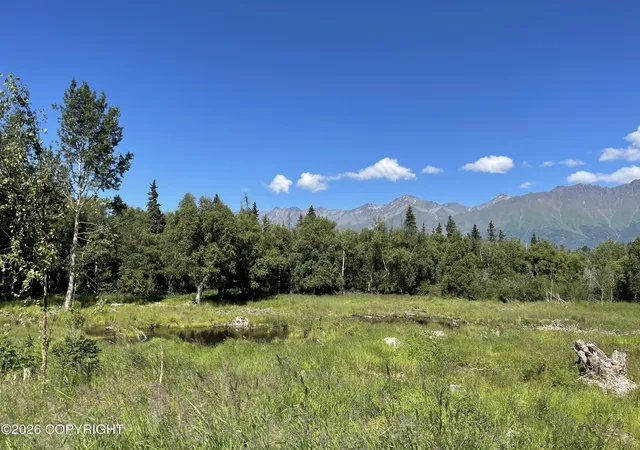 Photo 2 of Land for sale at 22329 E Clare Way, Palmer, AK 99645 | MLS# 26-7755 | Listing updated on 2026-09-02
