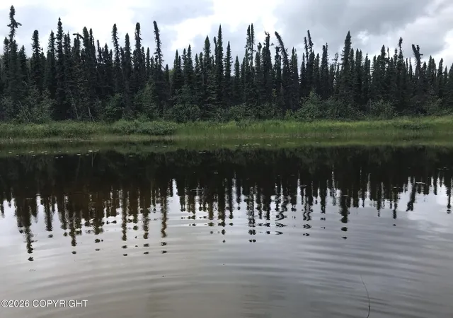 Homes for sale in Willow, AK | Tract F Trapper Lake (No Road), Willow, AK 99694 | MLS# 26-7690