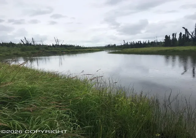 Homes for sale in Willow, AK | Tract F Trapper Lake (No Road), Willow, AK 99694 | MLS# 26-7690