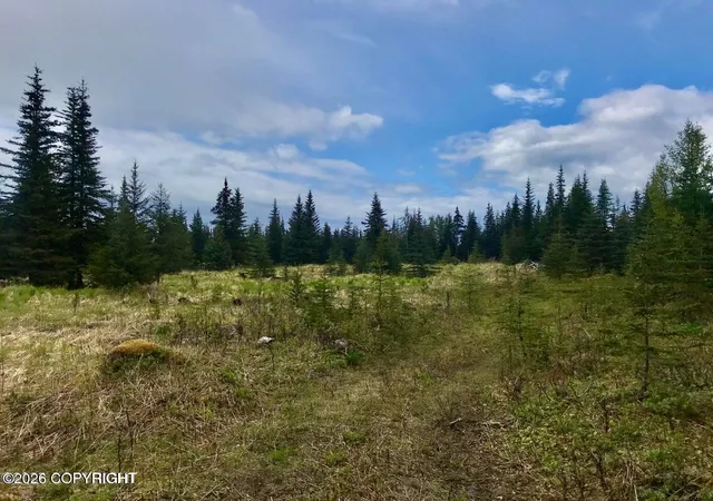 Homes for sale in Ninilchik, AK | 67212 Homestead Rd, Ninilchik, AK 99639 | MLS# 26-7653