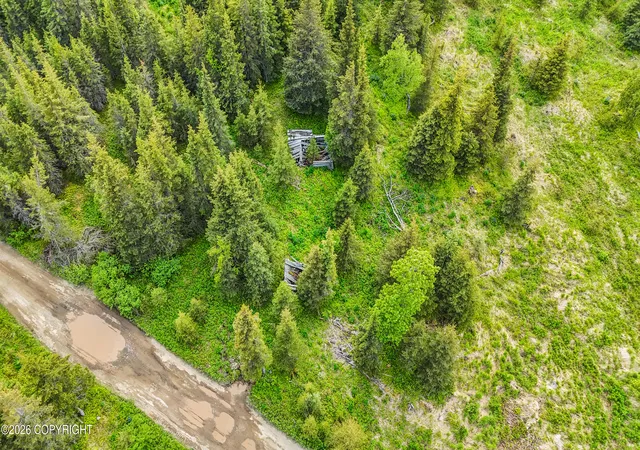 Homes for sale in Ninilchik, AK | 67212 Homestead Rd, Ninilchik, AK 99639 | MLS# 26-7653