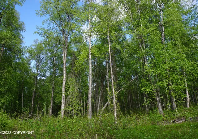 7th image of 1884 S Clara Cir, Talkeetna, AK 99676 | MLS# 26-7999