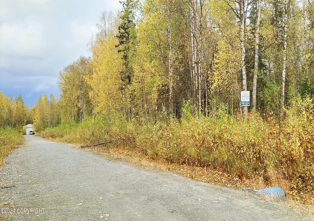 Photo 4 of Land for sale at 2007 S Clara Cir, Talkeetna, AK 99676 | MLS# 26-8002 | Listing updated on 2026-08-18