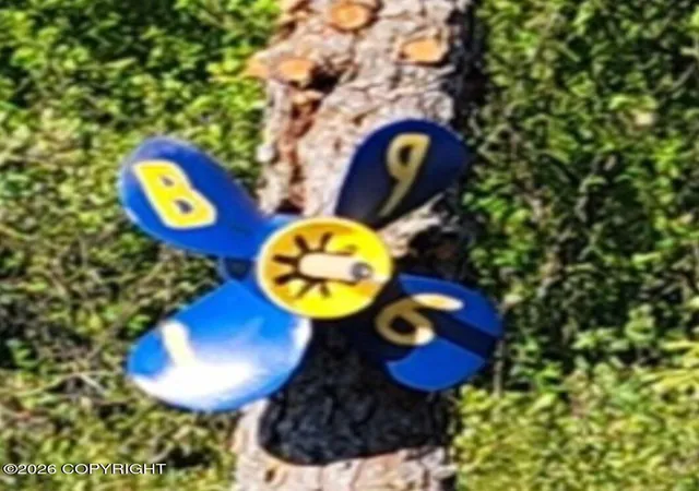 Homes for sale in Remote, AK | L6 B9 Keyes Point Lake Clark, Remote, AK 99640 | MLS# 26-7685