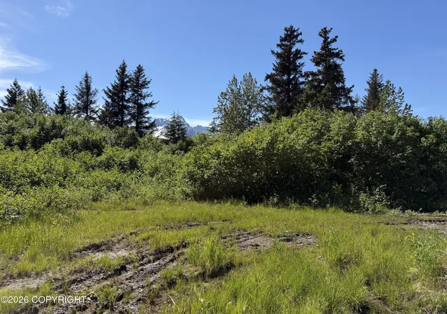 Homes for sale in Seward, AK | 33123 Clyde King Rd Rd, Seward, AK 99664 | MLS# 26-7798