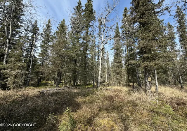 Homes for sale in Kasilof, AK | 0 Nhn Kasilof Alaska Sub, Kasilof, AK 99610 | MLS# 26-7724