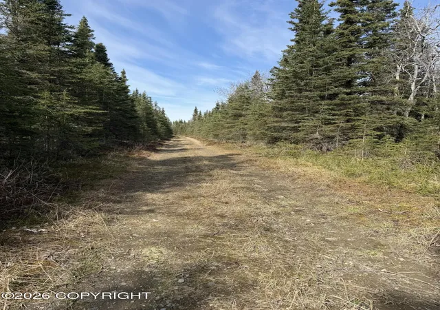 Homes for sale in Kasilof, AK | 0 Nhn Kasilof Alaska Sub, Kasilof, AK 99610 | MLS# 26-7724