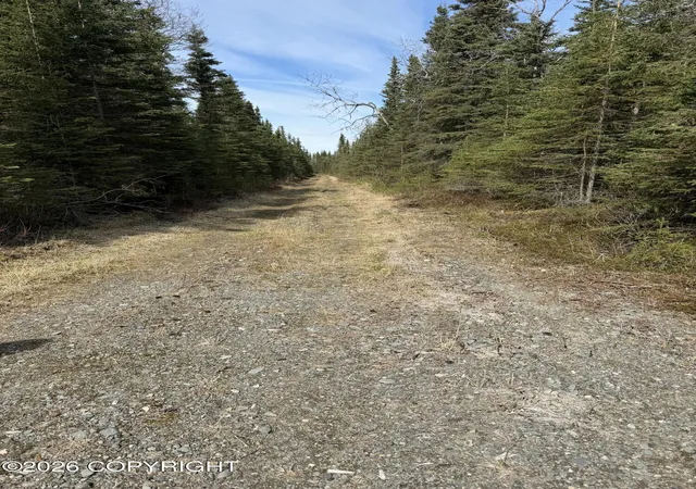 Homes for sale in Kasilof, AK | 0 Nhn Kasilof Alaska Sub, Kasilof, AK 99610 | MLS# 26-7724