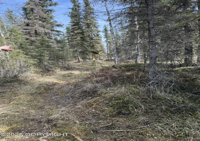 Homes for sale in Kasilof, AK | 0 Nhn Kasilof Alaska Sub, Kasilof, AK 99610 | MLS# 26-7724