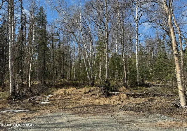 3rd image of 4173 E Harman, Wasilla, AK 99654 | MLS# 26-7738