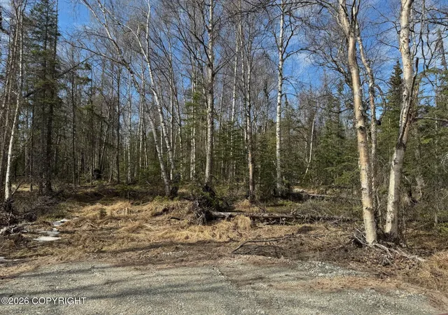 5th image of 4173 E Harman, Wasilla, AK 99654 | MLS# 26-7738