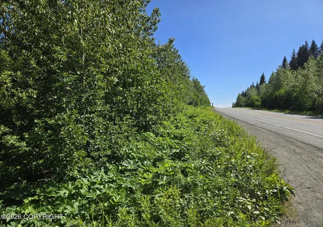 Homes for sale in Anchor Point, AK | 34700 Sterling Hwy, Anchor Point, AK 99556 | MLS# 26-7863