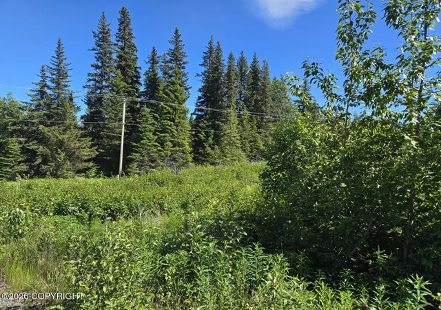 Homes for sale in Anchor Point, AK | 34700 Sterling Hwy, Anchor Point, AK 99556 | MLS# 26-7863