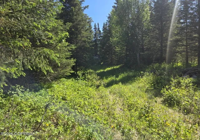 Homes for sale in Anchor Point, AK | 34700 Sterling Hwy, Anchor Point, AK 99556 | MLS# 26-7863