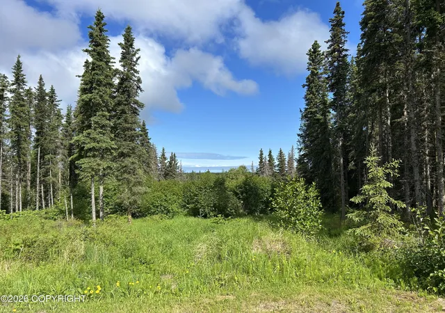 Homes for sale in Kasilof, AK | 24847 Vega St, Kasilof, AK 99610 | MLS# 26-7772