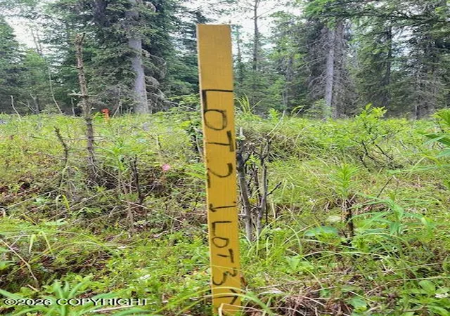 Photo 1 of Land for sale at L3 Madsen Ave, Kasilof, AK 99610 | MLS# 26-7959 | Listing updated on 2026-07-24