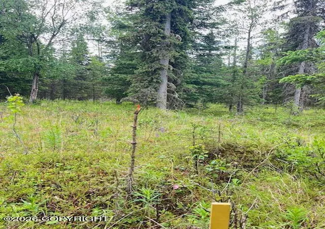 Photo 2 of Land for sale at L3 Madsen Ave, Kasilof, AK 99610 | MLS# 26-7959 | Listing updated on 2026-07-24