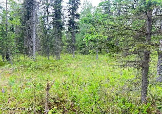 Photo 3 of Land for sale at L3 Madsen Ave, Kasilof, AK 99610 | MLS# 26-7959 | Listing updated on 2026-07-24