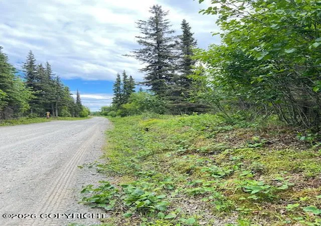 Photo 4 of Land for sale at L3 Madsen Ave, Kasilof, AK 99610 | MLS# 26-7959 | Listing updated on 2026-07-24