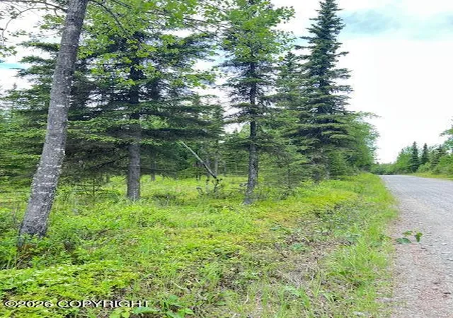 Photo 5 of Land for sale at L3 Madsen Ave, Kasilof, AK 99610 | MLS# 26-7959 | Listing updated on 2026-07-24
