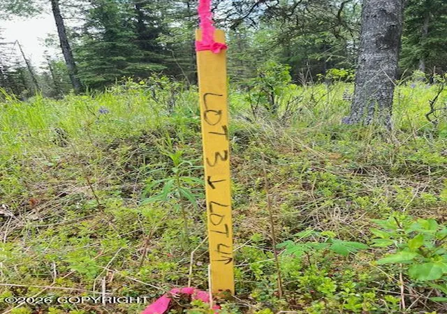 Photo 8 of Land for sale at L3 Madsen Ave, Kasilof, AK 99610 | MLS# 26-7959 | Listing updated on 2026-07-24