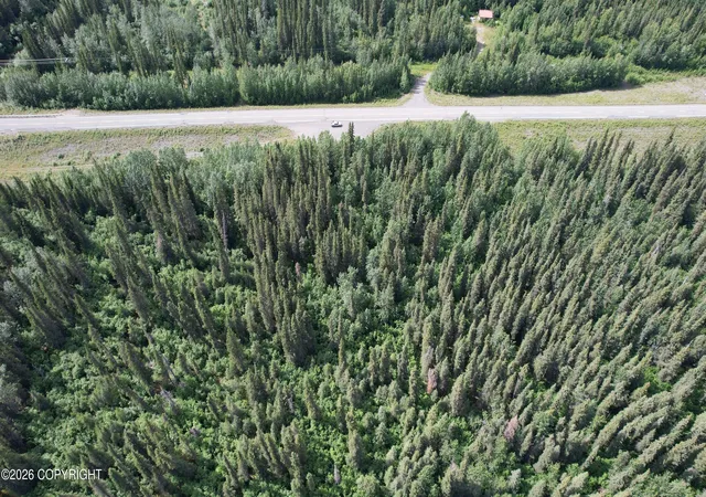Photo 15 of Sale Pending at Mm 68 Tok Cutoff Hwy, Gakona, AK 99586 | MLS# 26-7834 | Listing updated on 2026-09-02