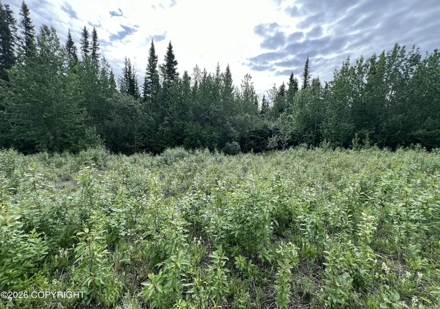 Photo 3 of Sale Pending at Mm 68 Tok Cutoff Hwy, Gakona, AK 99586 | MLS# 26-7834 | Listing updated on 2026-09-02