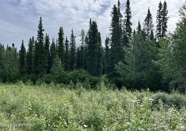 Photo 4 of Sale Pending at Mm 68 Tok Cutoff Hwy, Gakona, AK 99586 | MLS# 26-7834 | Listing updated on 2026-09-02