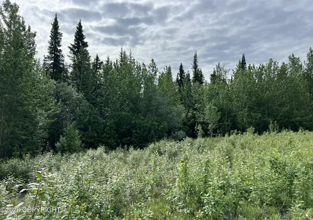 Photo 5 of Sale Pending at Mm 68 Tok Cutoff Hwy, Gakona, AK 99586 | MLS# 26-7834 | Listing updated on 2026-09-02