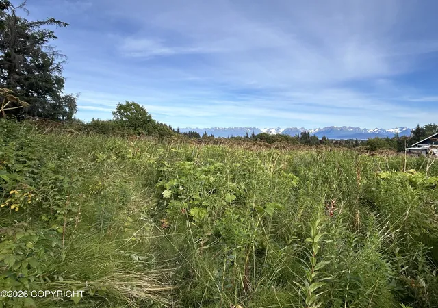 Homes for sale in Homer, AK | 4560 Craftsman Rd, Homer, AK 99603 | MLS# 26-7836