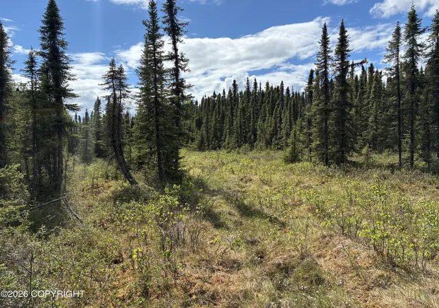 Photo 3 of Land for sale at 3846 N White Knight Dr, Wasilla, AK 99623 | MLS# 26-7850 | Listing updated on 2026-09-03